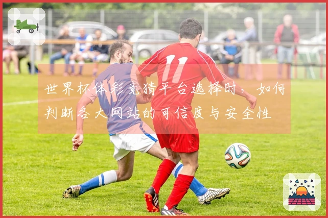世界杯体彩竞猜平台选择时，如何判断各大网站的可信度与安全性