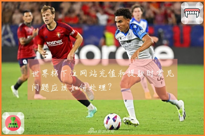 世界杯下注网站充值和提款时常见问题应该如何处理？