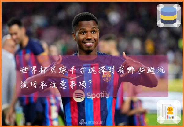 世界杯买球平台选择时有哪些避坑技巧和注意事项？