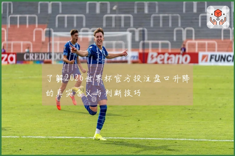 了解2026世界杯官方投注盘口升降的真实含义与判断技巧