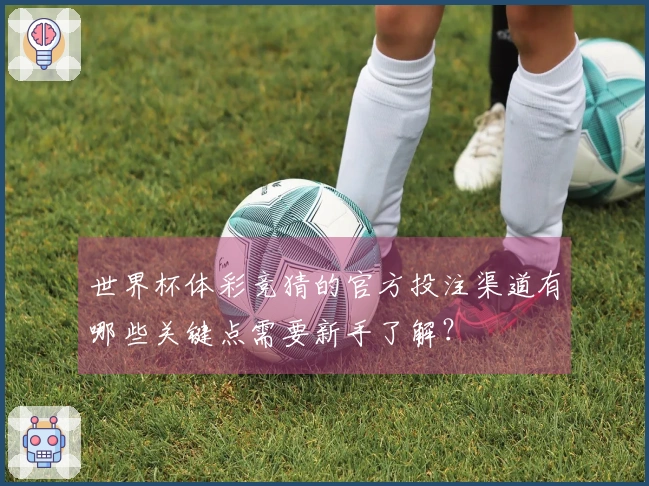 世界杯体彩竞猜的官方投注渠道有哪些关键点需要新手了解？