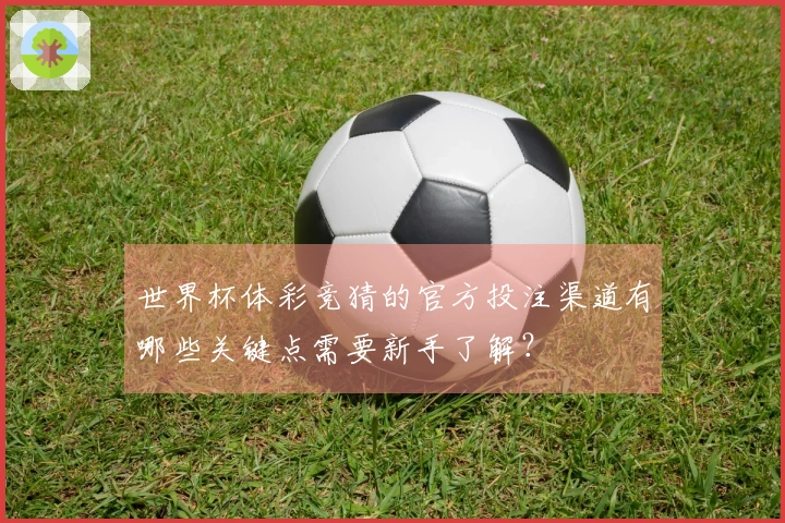 世界杯体彩竞猜的官方投注渠道有哪些关键点需要新手了解？