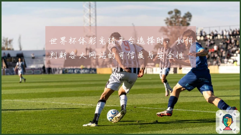 世界杯体彩竞猜平台选择时，如何判断各大网站的可信度与安全性